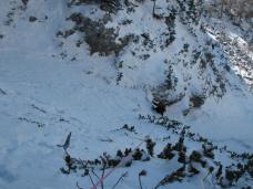 Klik za večjo sliko